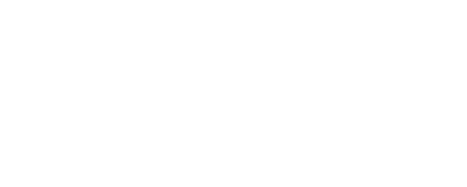 Cherry Fashion logo vert