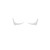 Icône